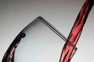 Vignes luxuriantes du Languedoc sous un ciel ensoleillé