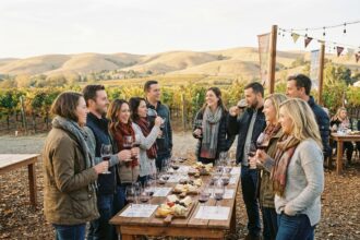 Groupe dégustant du vin lors d'une fete dans un vignoble en automne