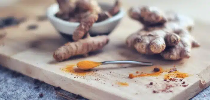 gingembre et curcuma
